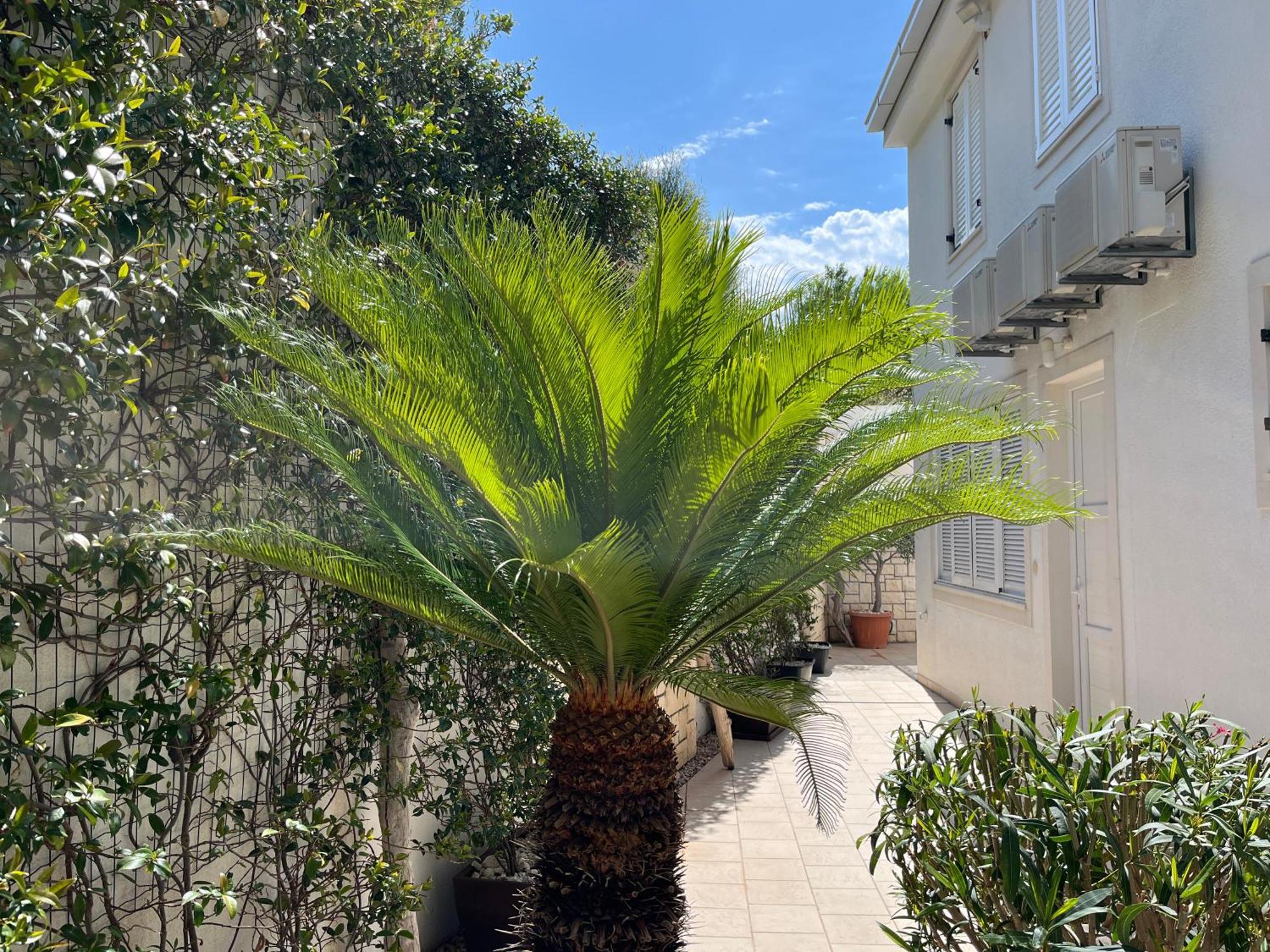 Belado Residence Μπολ Εξωτερικό φωτογραφία